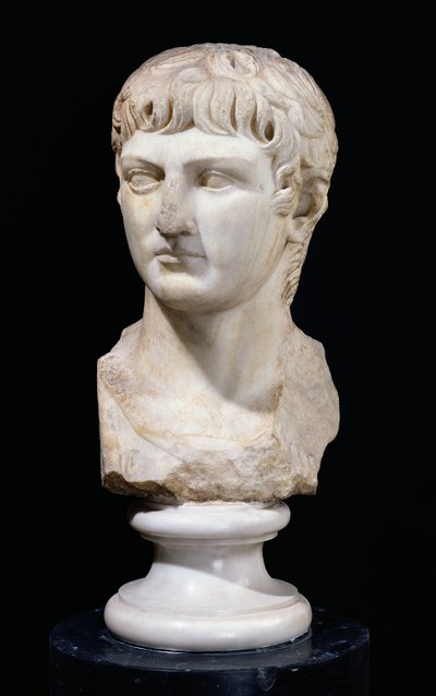 Bust of Germanicus by Roman